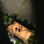 hidden gem in Thao Dien