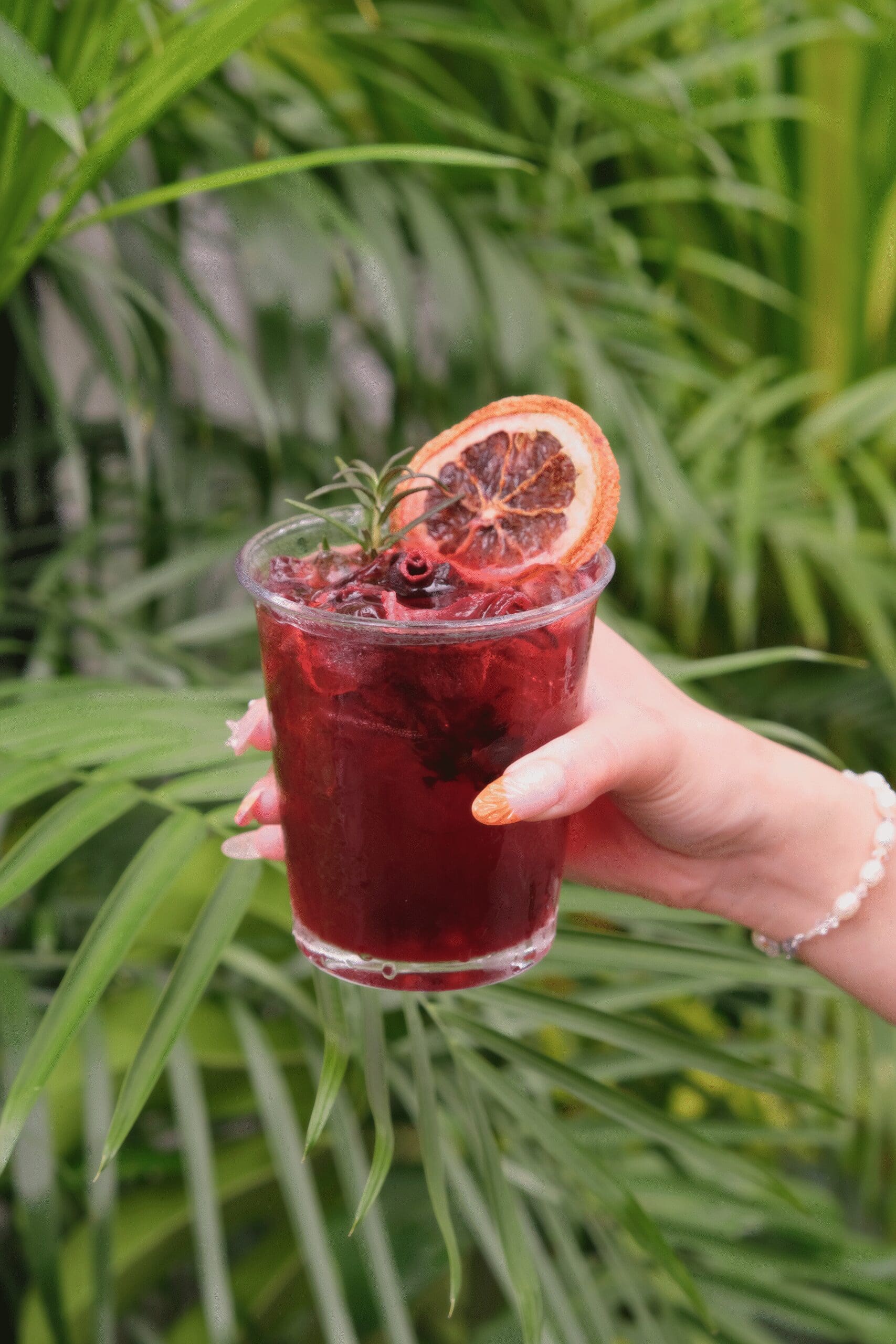 Not A Rose - Hibiscus đào