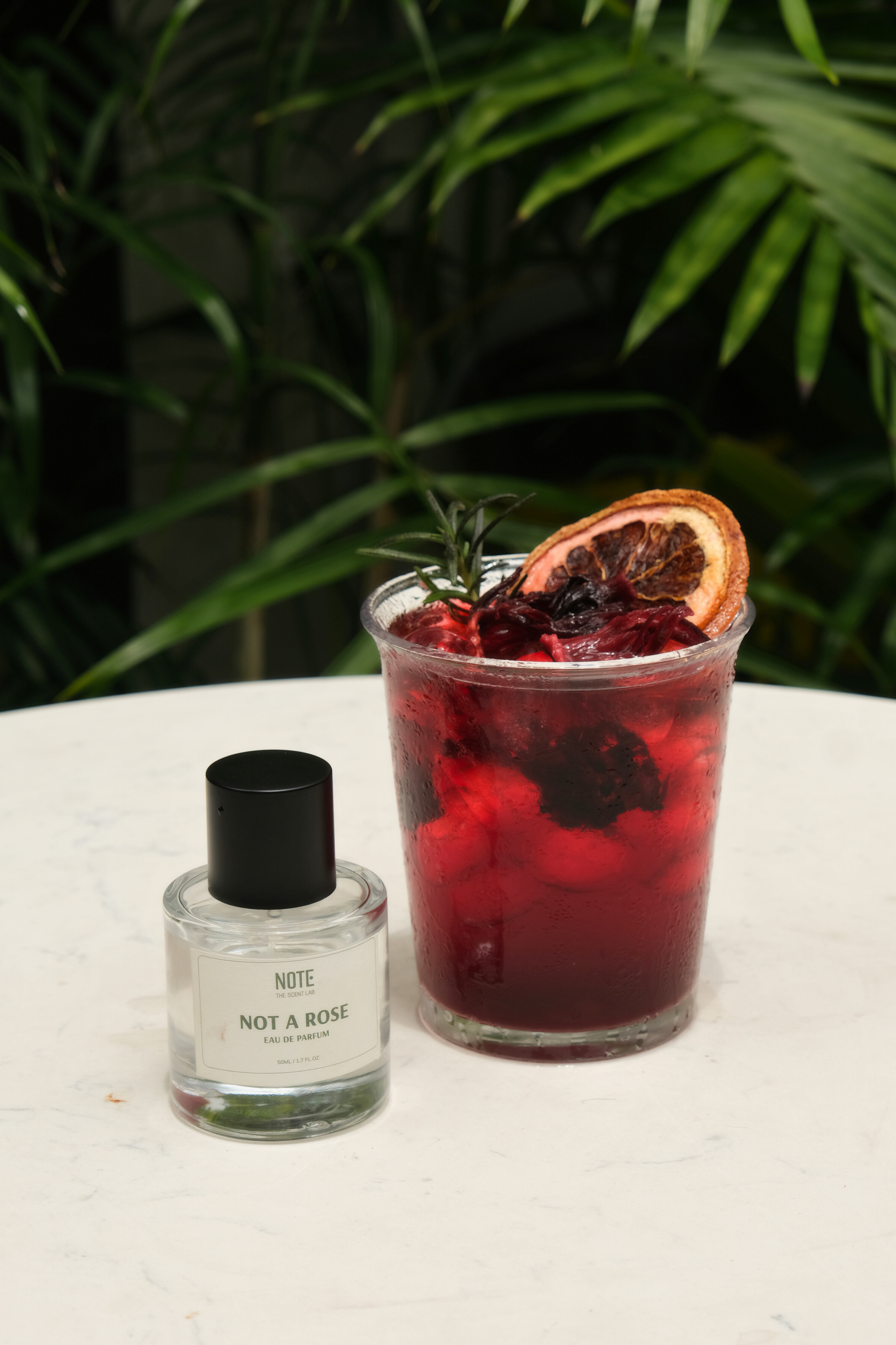 Not A Rose - Hibiscus đào